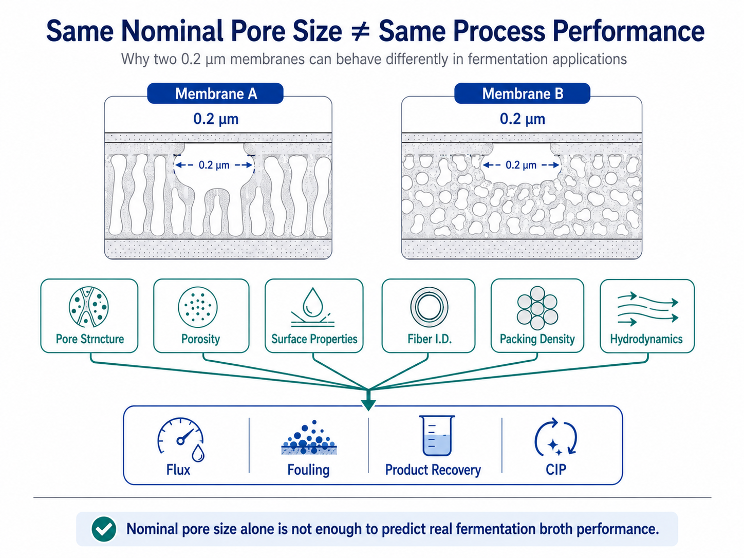 pore size.png